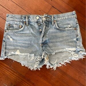 Agolde Parker Short Vintage Cutoff